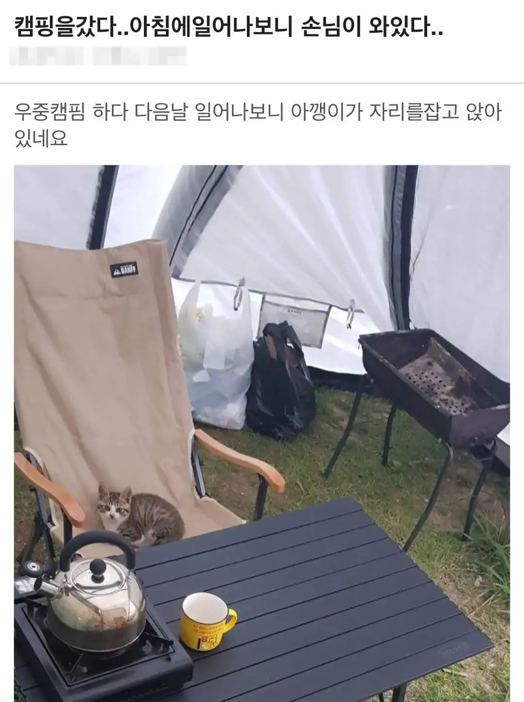 캠핑 중 찾아온 손님 | mbong.kr 엠봉
