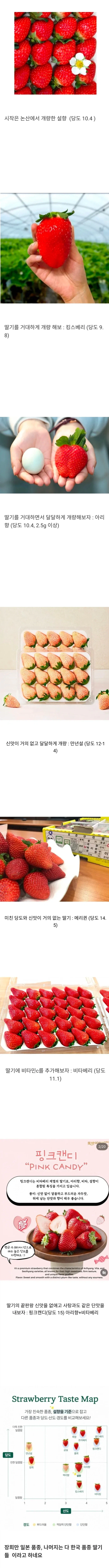19e162be4be56461f.webp
