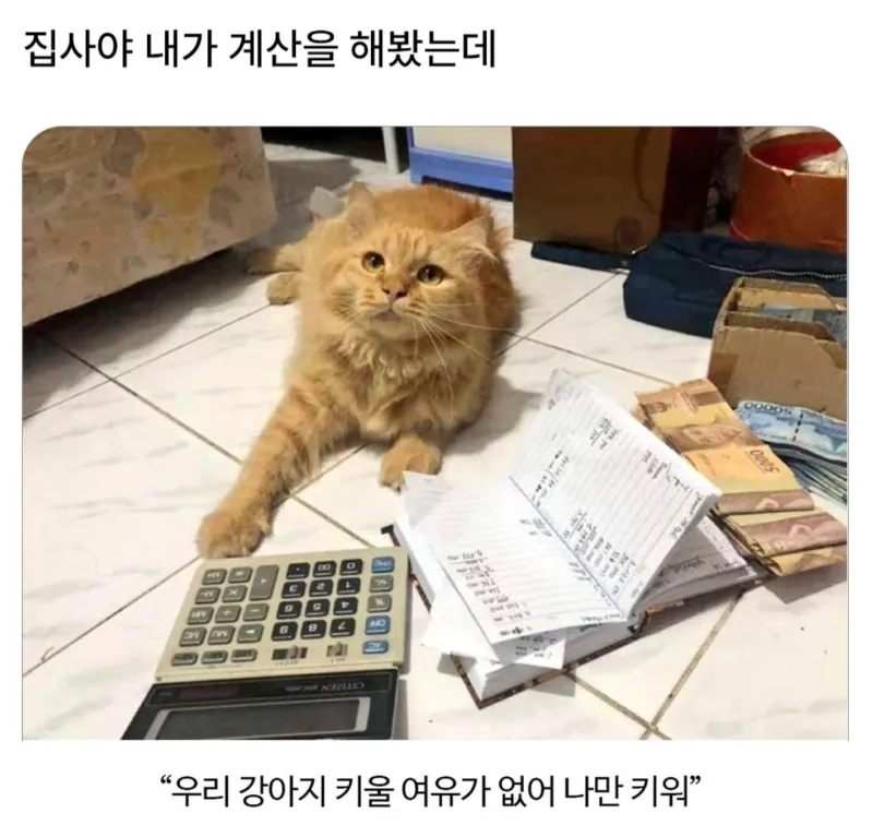 내가 계산을 해봤는데 | 인스티즈