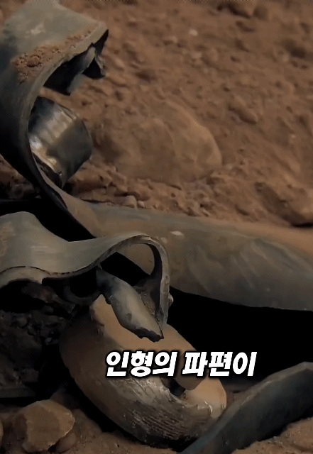 인간이 음속의 속도로 충돌한다면 어떻게 될까.gif | 인스티즈
