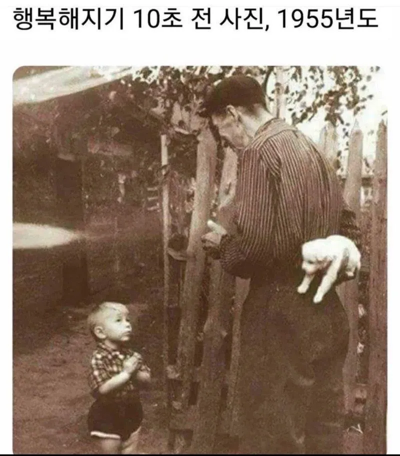 1783226642_673621844.jpg
