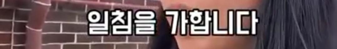 1783784390752-12.jpg