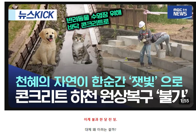 1000106919.webp