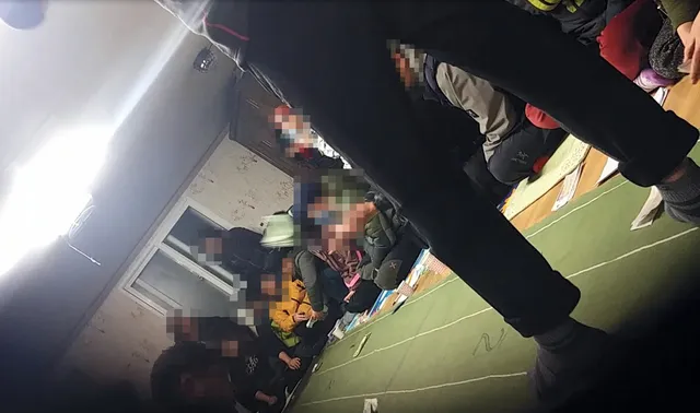 뉴시스