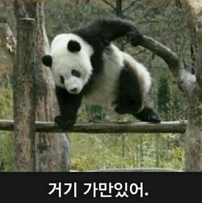 1000109710.webp