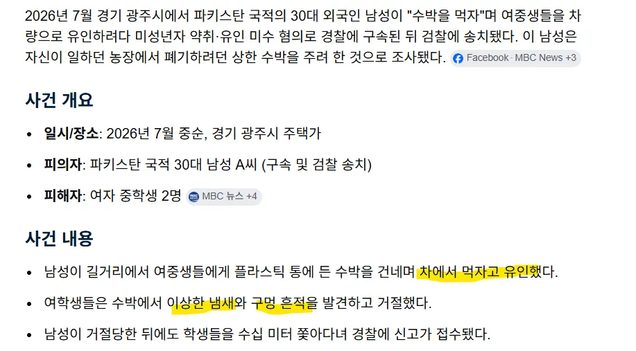 광주외국인 수박.png