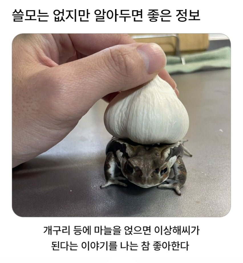 000_20261001101609_cuOxo6AO0x.jpg