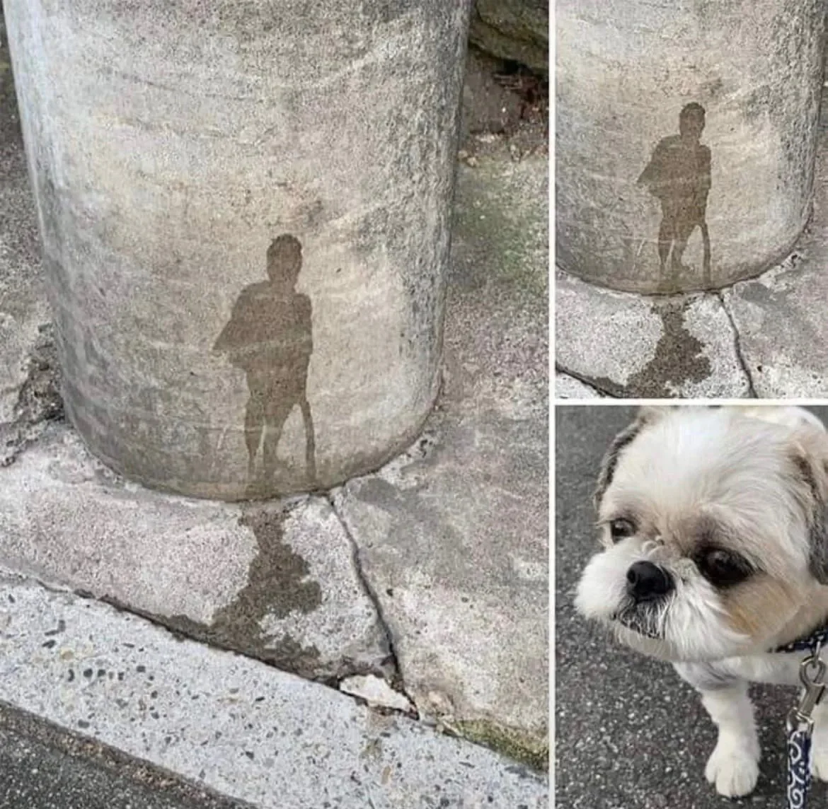 000_20261001164003_voo4woNDT1.webp