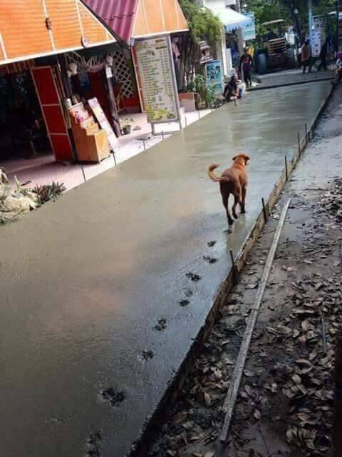 000_20261003235713_OKhK0TiR6D.jpg