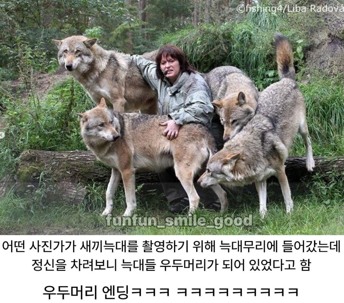 003_20261006121357_W494FABaek.png.jpg