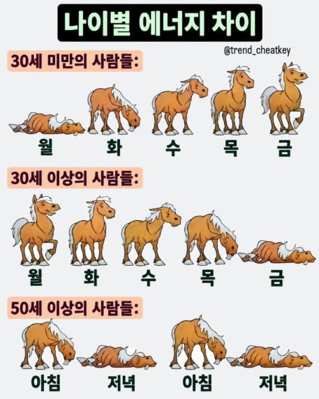 000_20261006105757_ldF62bjHau.png.jpg