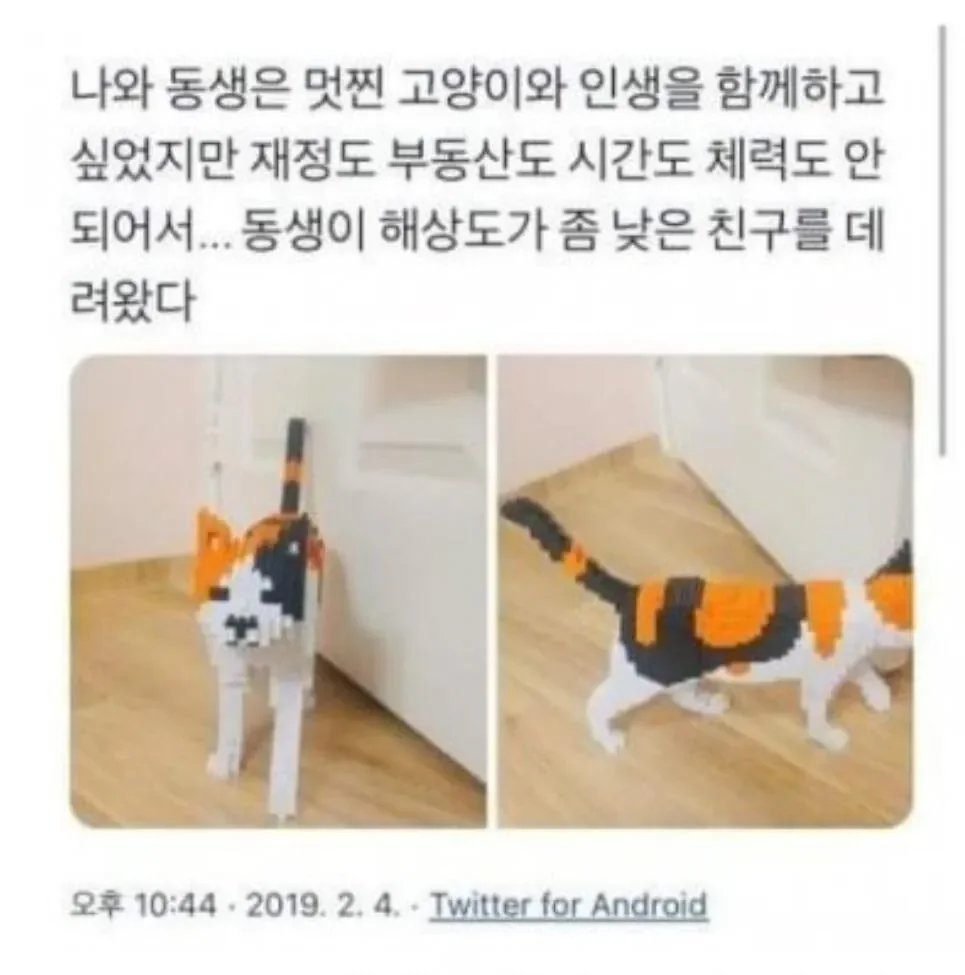 000_20261013094343_a5O552Ztkk.webp