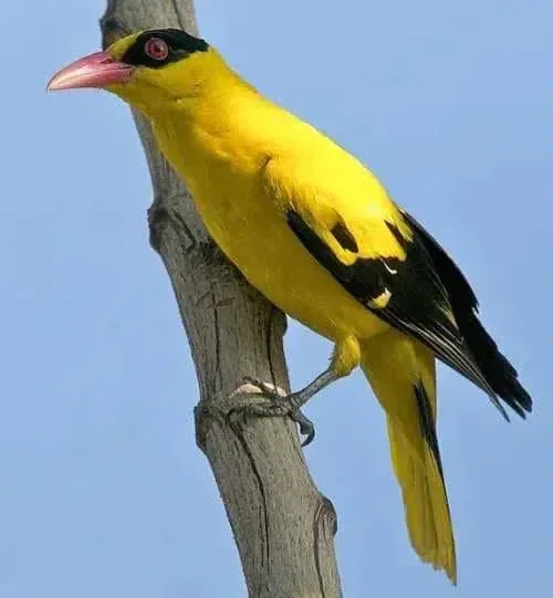 000_20261013210501_4xfsdok3bI.webp