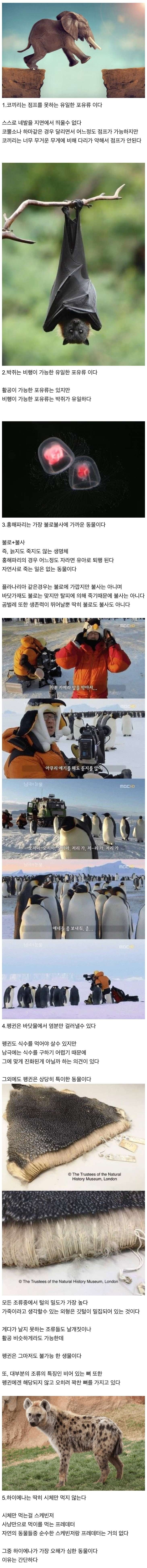 000_20261018225639_UUqwBs7jpy.jpeg