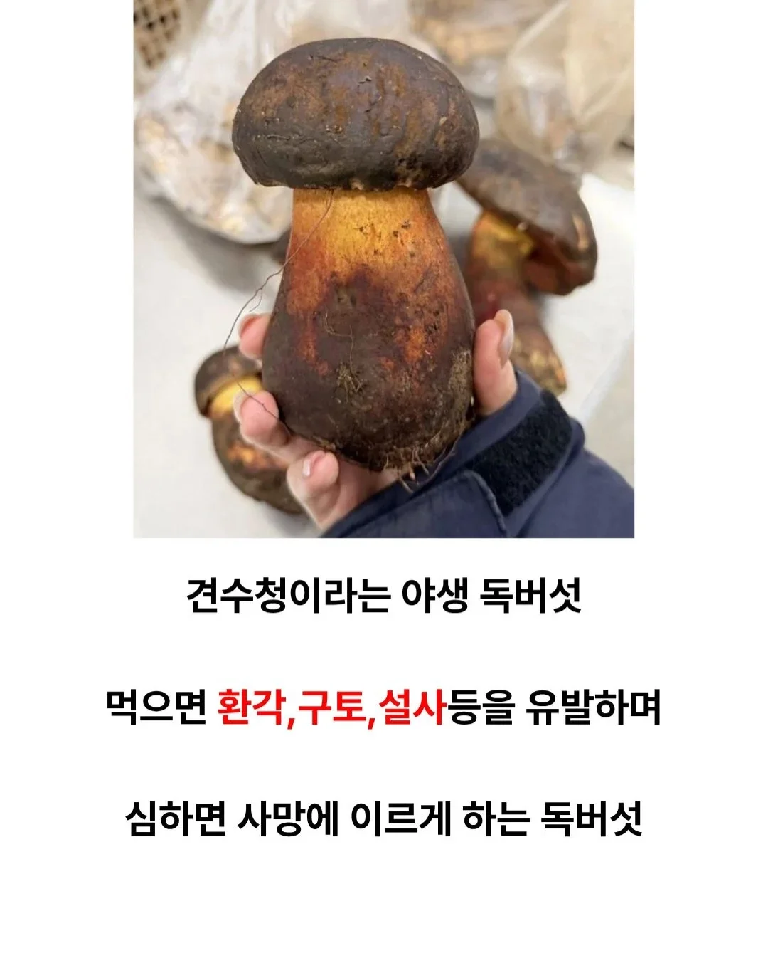 000_20261024185916_Iu77GqLBAz.webp