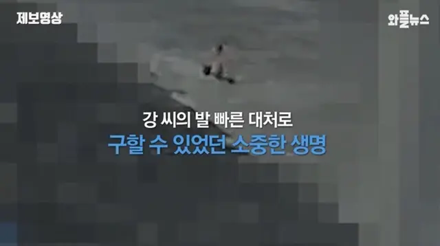제주도 용담동 앞바다에 빠진 아이를 구한 영웅.jpgif | 엠봉 mbong.kr