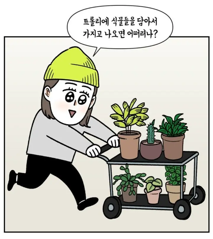 비 오는 날 바빠진다는 식물덕후들 | 엠봉 mbong.kr
