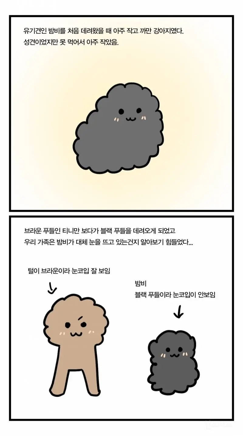 까만 강아지 특징.jpg  엠봉 mbong.kr