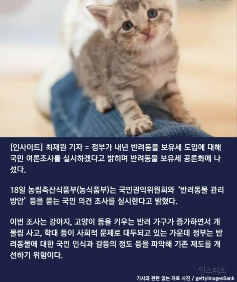 '반려동물 보유세' 도입 찬반 설문조사 실시.jpg  엠봉 mbong.kr