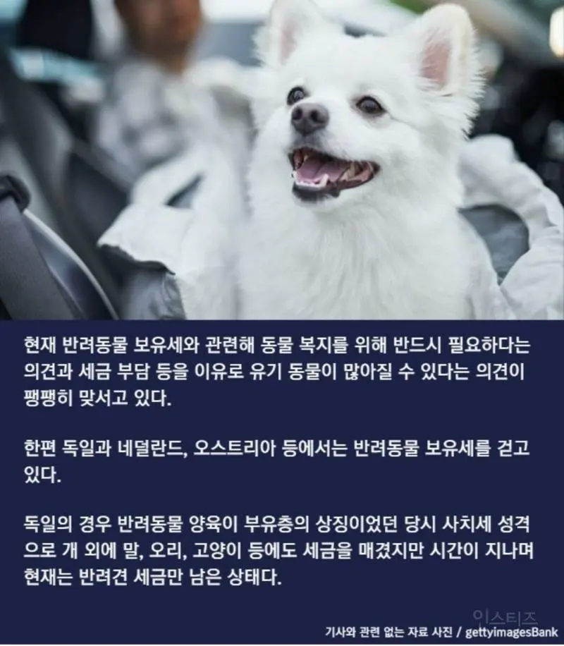 '반려동물 보유세' 도입 찬반 설문조사 실시.jpg  엠봉 mbong.kr