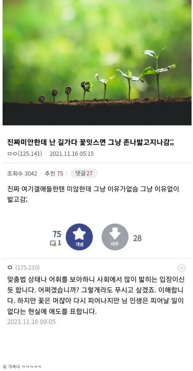 욕 안하고 사람 혼수상태 만드는 식물갤 | mbong.kr 엠봉
