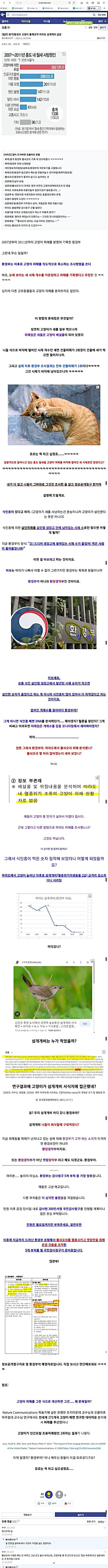캣맘들 때문에 광기에 휩싸인 조류갤 | mbong.kr 엠봉