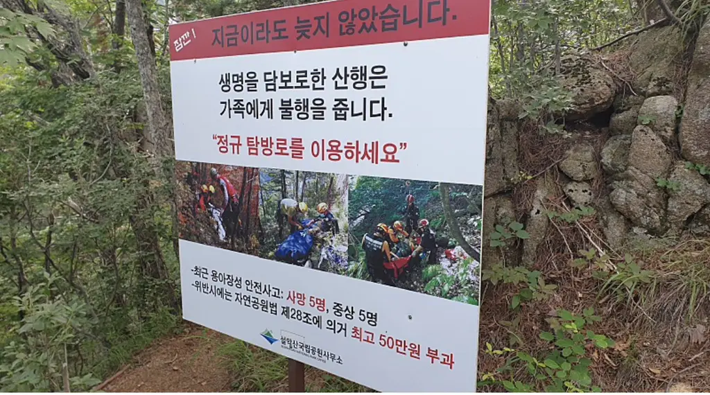 사망사고가 빈번한 설악산 죽음의 능선 ‘용아장성’코스 (비법정탐방로) | mbong.kr 엠봉