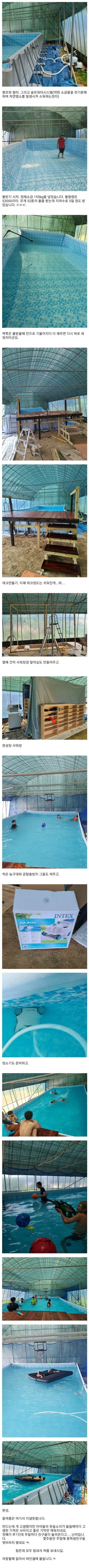 집 마당에 수영장을 만든 디씨인..jpg | mbong.kr 엠봉