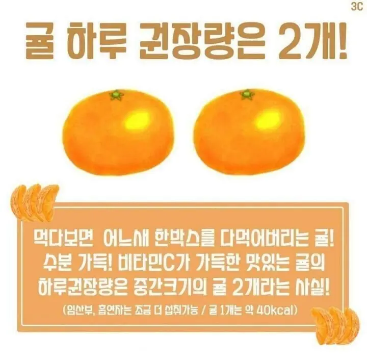 귤 하루 권장량 | mbong.kr 엠봉