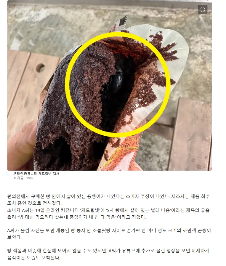 편의점 빵 뜯자 풍뎅이 ‘꿈틀’… 상품권 4만원 제시하더라 | mbong.kr 엠봉