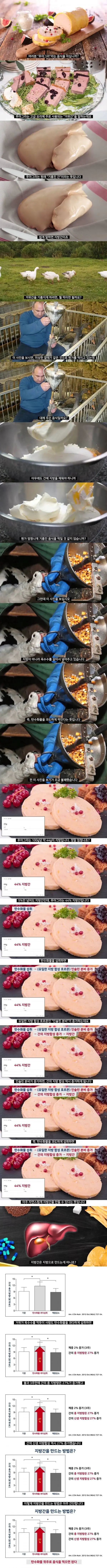 지방간 만드는 방법 | mbong.kr 엠봉