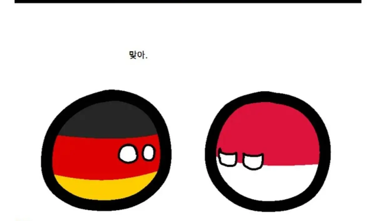 폴란드볼) 독일에게 폴란드 역사란.... ? | mbong.kr 엠봉