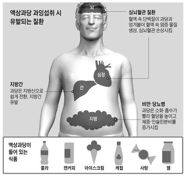 액상과당 과잉섭취 | mbong.kr 엠봉