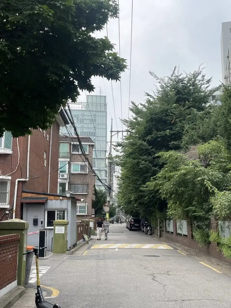 일본인이 보고 너무 예쁘다고 한 한국 길거리 사진 | mbong.kr 엠봉