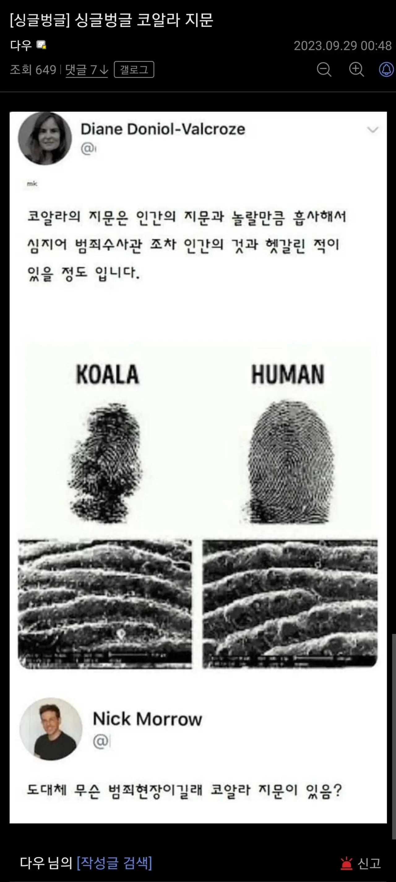완전 신기한 코알라 지문 | mbong.kr 엠봉