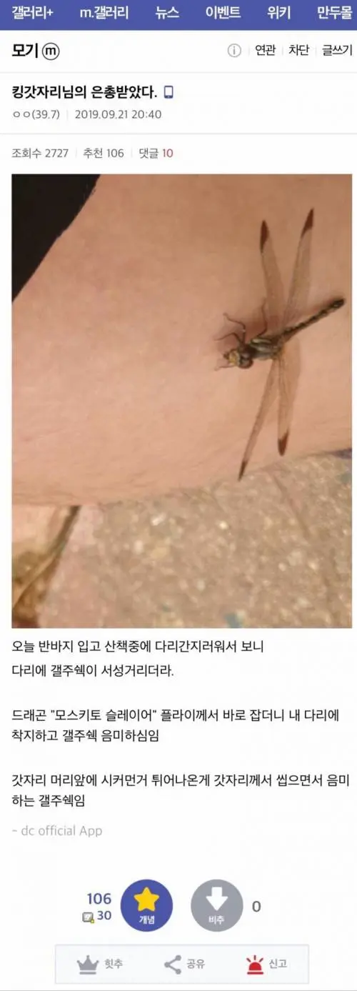 모기갤러리 유저가 감격을 금치 못했던 사건 | mbong.kr 엠봉