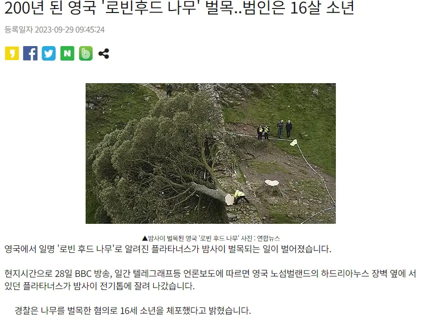 하드리아누스 성벽 나무 벌목한 16세 청소년 근황? | mbong.kr 엠봉