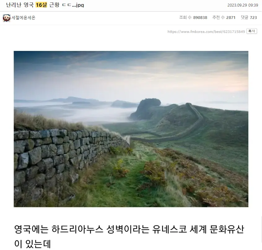 하드리아누스 성벽 나무 벌목한 16세 청소년 근황? | mbong.kr 엠봉