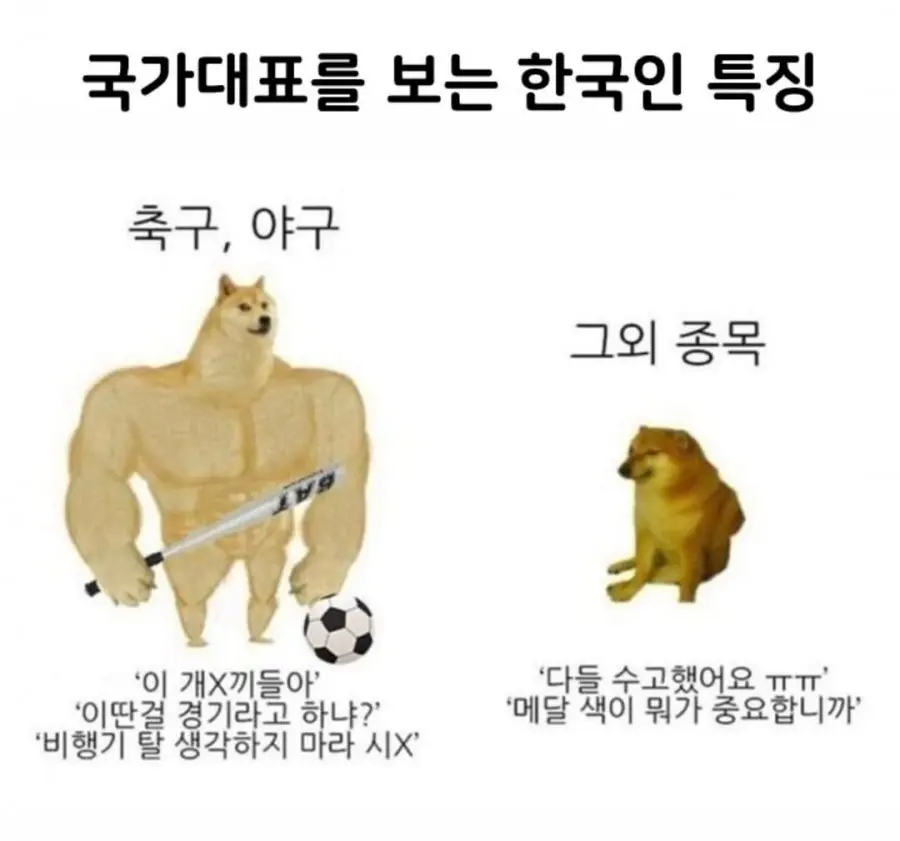 유독 축구,야구만.. | mbong.kr 엠봉