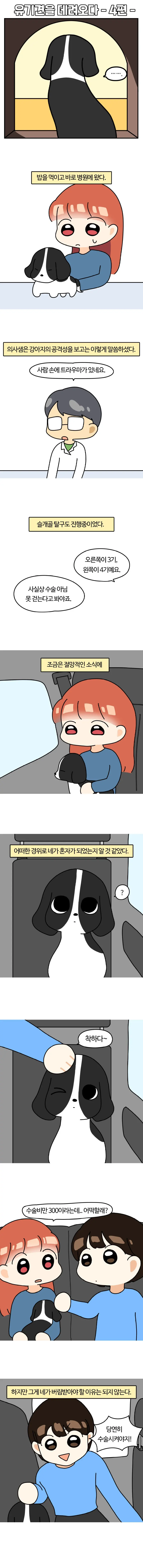 스압) 유기견이 가족이 되기까지의 만화.manhwa | mbong.kr 엠봉