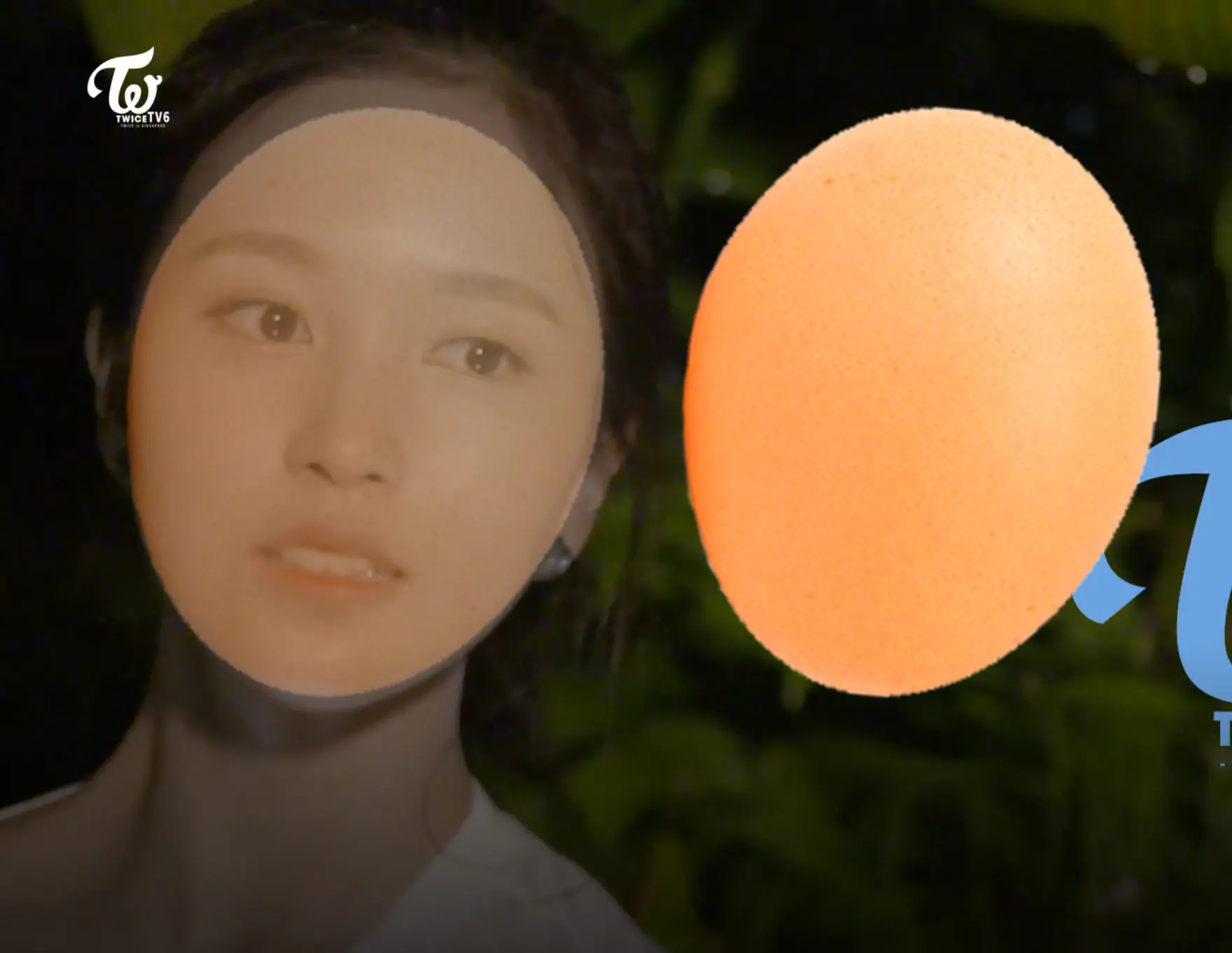 [트와이스] 계란같은 미나 얼굴 | mbong.kr 엠봉