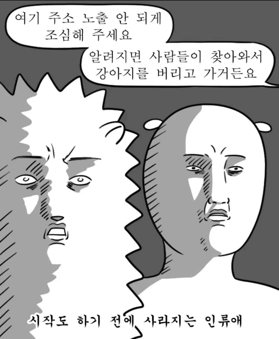 유기견 보호소의 주소가 노출되면 안되는 이유 | mbong.kr 엠봉