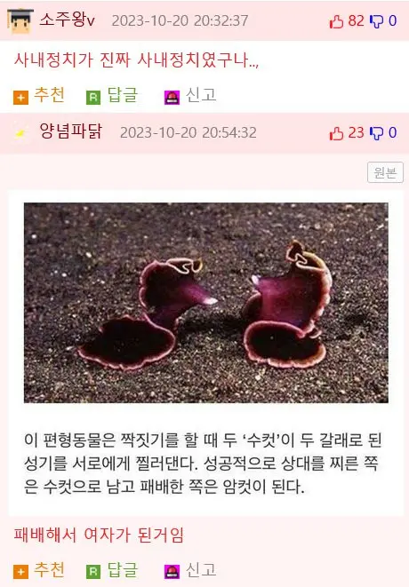 사내정치에 패배한 후유증 manhwa | mbong.kr 엠봉