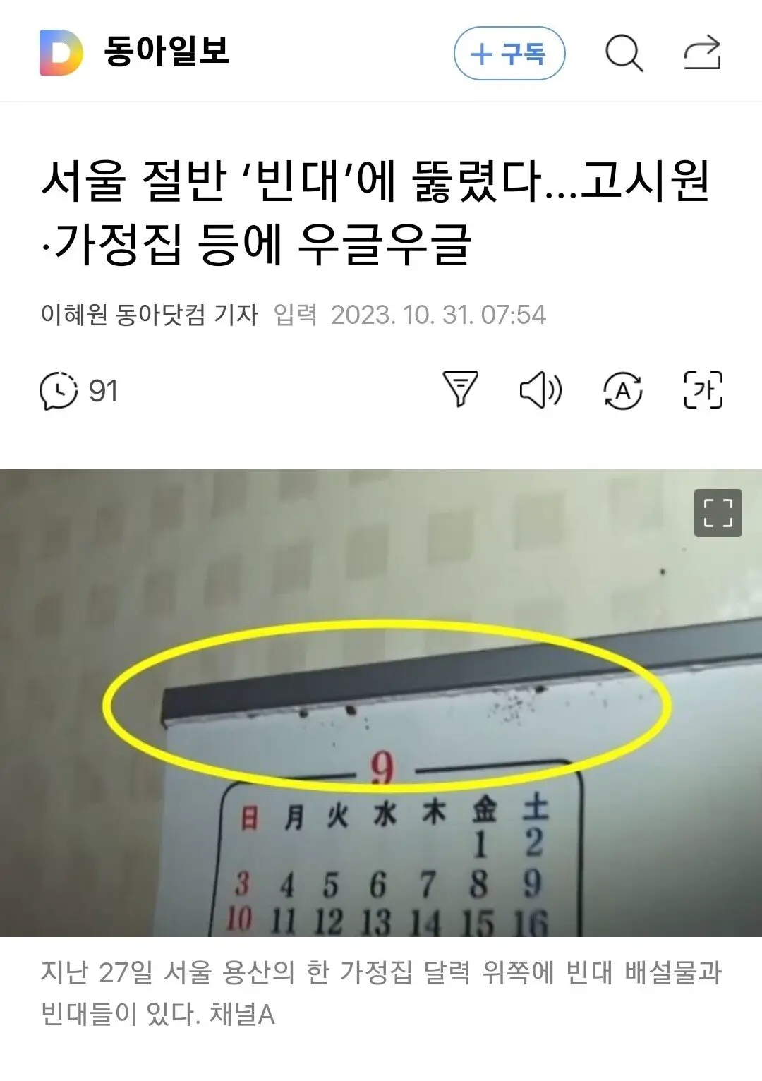 서울 절반 ‘빈대’에 뚫렸다…고시원·가정집 등에 우글우글 | mbong.kr 엠봉