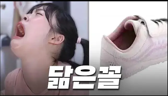 뽀구미 닮은꼴 레전드 ㅋㅋㅋㅋㅋㅋㅋㅋㅋㅋㅋㅋㅋㅋㅋㅋ | mbong.kr 엠봉
