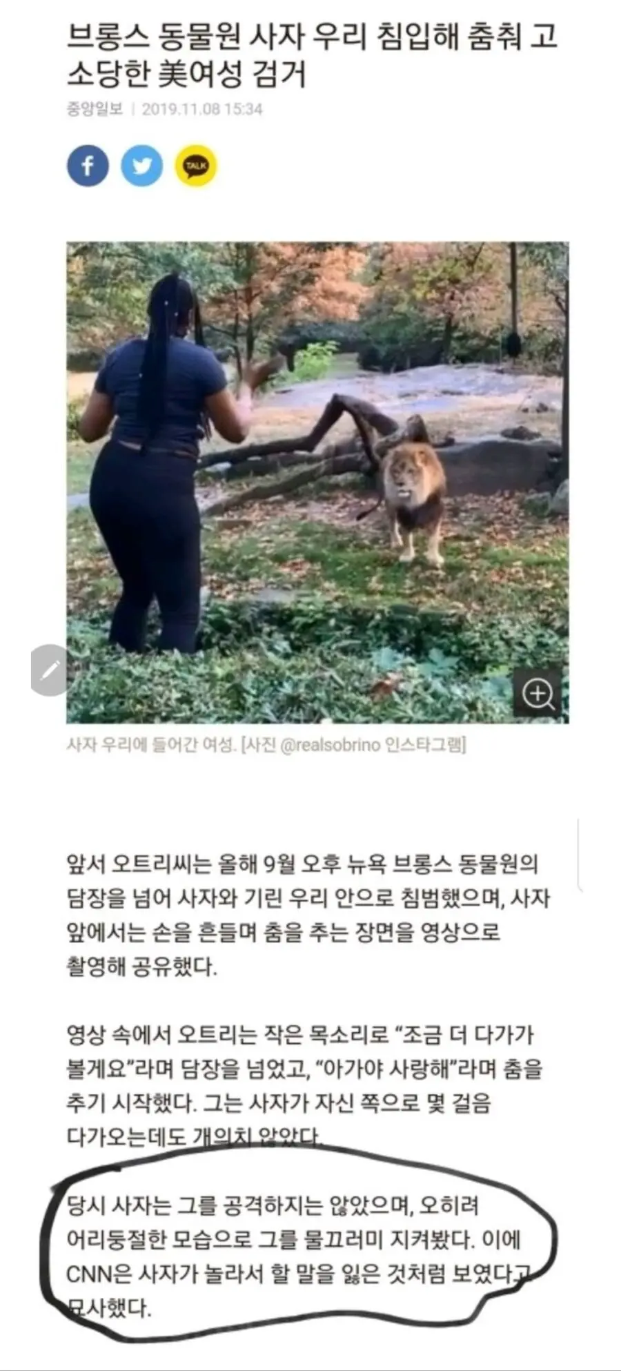 사자 우리에 침입한 여성이 생존한 사례.jpg | mbong.kr 엠봉