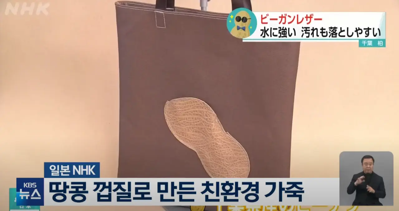 [글로벌K] 일본, 땅콩 껍질로 만든 친환경 가죽 | mbong.kr 엠봉