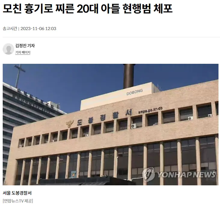 흉기로 어머니 여러 차례 찌른 20대 아들…현행범 체포 | mbong.kr 엠봉