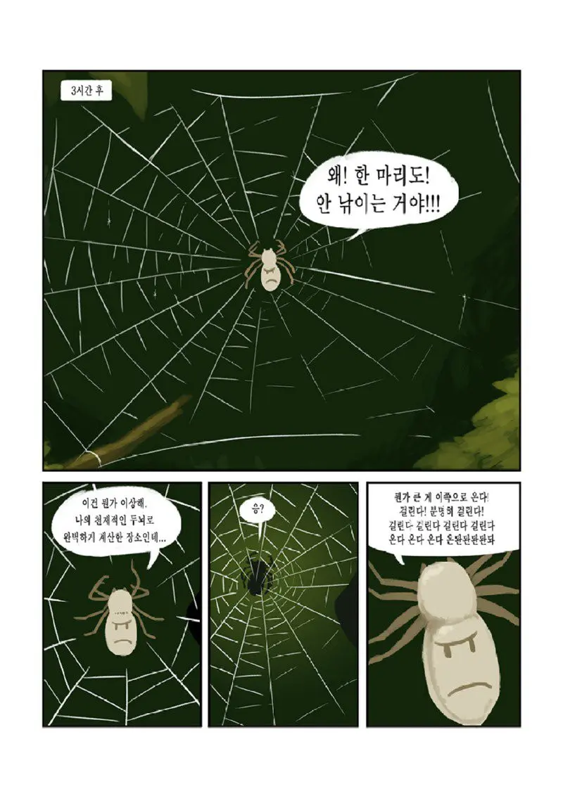 박각시나방과 배고픈 거미 manhwa | mbong.kr 엠봉