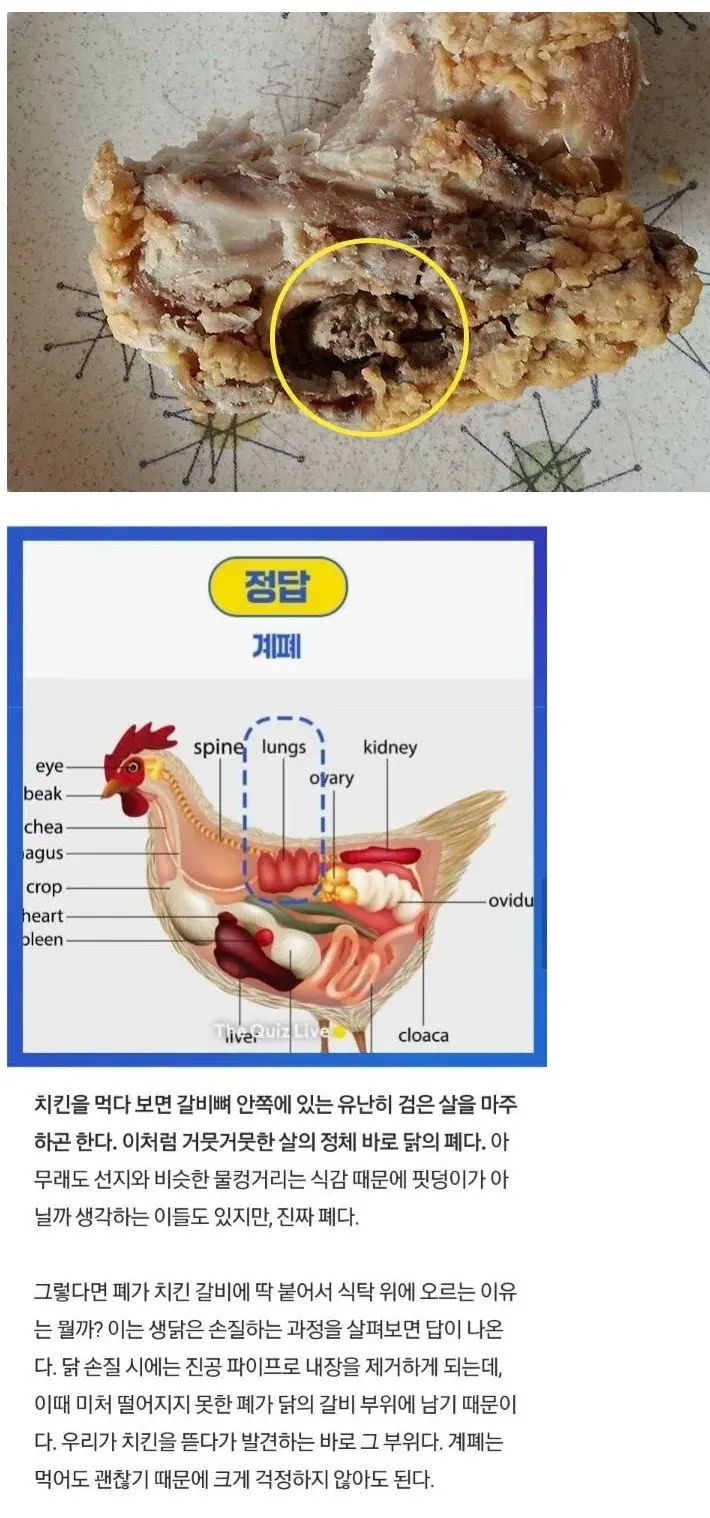 치킨 갈비뼈 안쪽의 검은 덩어리의 정체.jpg | mbong.kr 엠봉